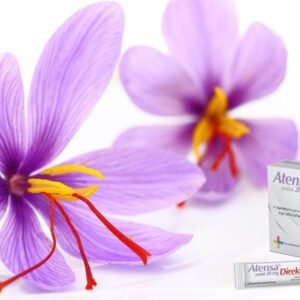 Atensa®Direkt prašak 28mg