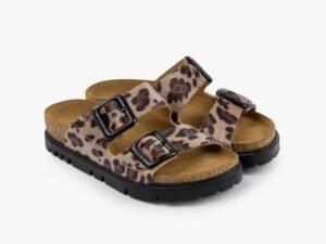 Leon terra-braon-36-39